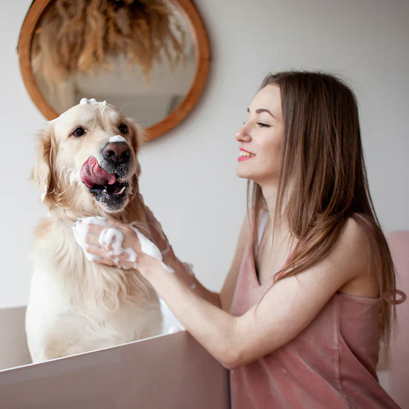 The Ultimate Guide to Dog Grooming