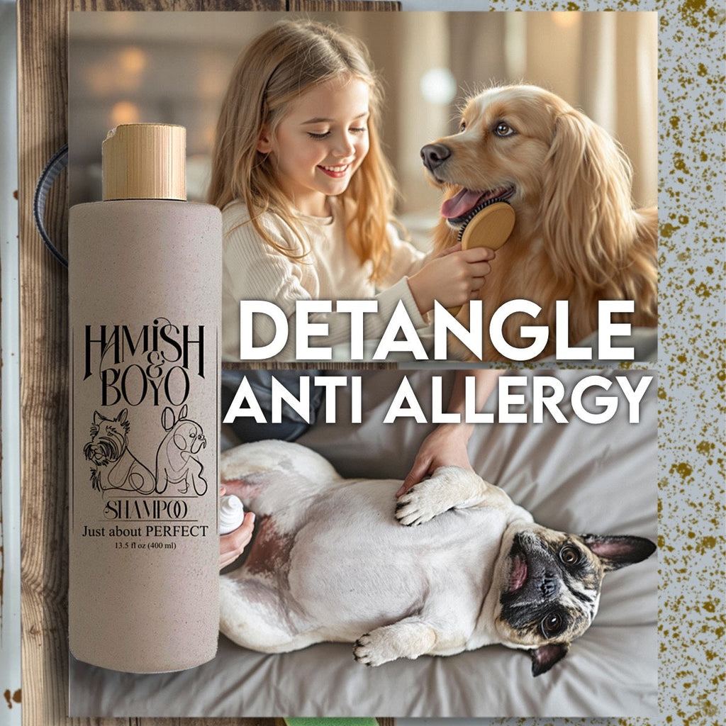 đ§´ Understanding Dog Skin pH: Why Human Shampoo Isnât Safe for Dogs