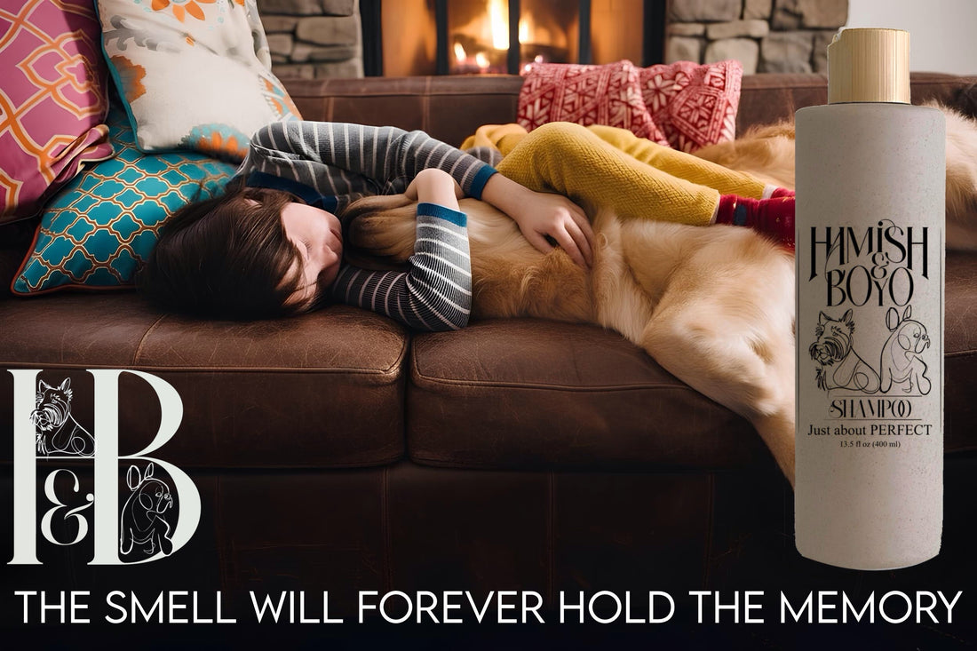 Why You Still Need to Bathe Your Dog in Winter (Yes, Even When it's Cold!)