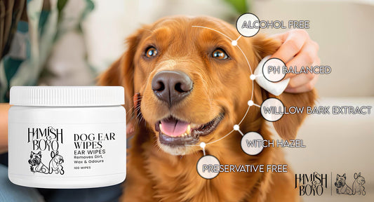 Dog Ear Wipes vs. Ear Drops: Which Does Your Pup Actually Need?