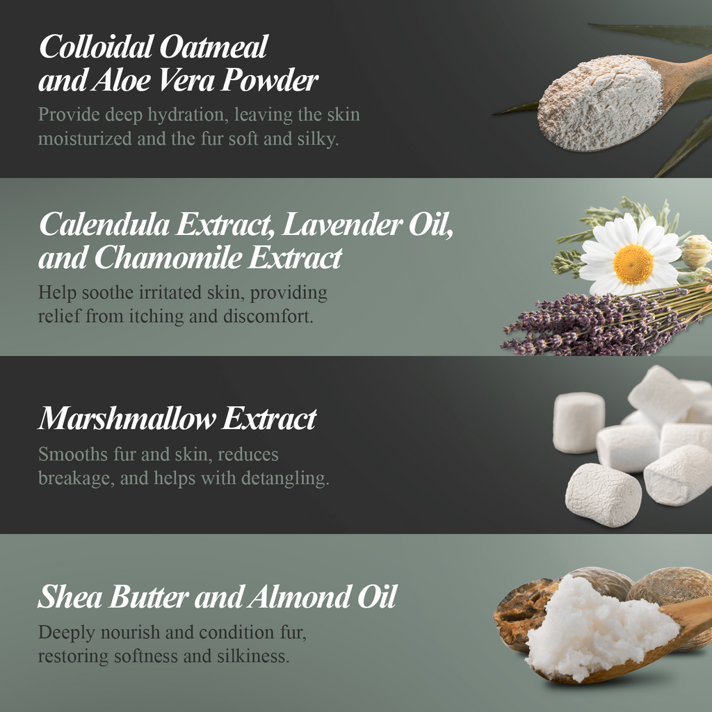 The Truth About Dog Shampoo Ingredients (And Why Nature-Derived Wins)