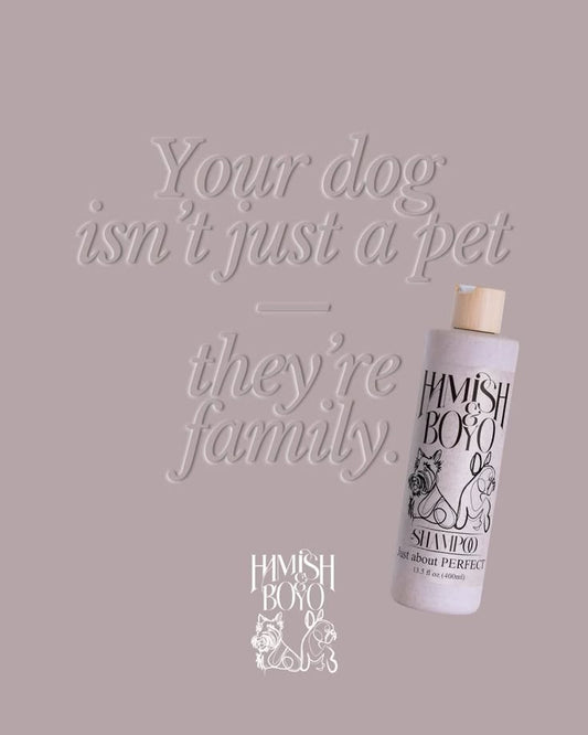 Is Dog Shampoo Really That Important? (Yes—Here’s Why)