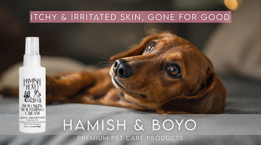 Summer Skin Issues in Dogs: Hot Spots, Allergies, and Relief
