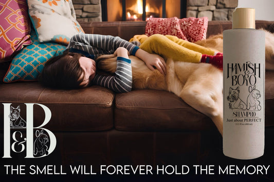 Why You Still Need to Bathe Your Dog in Winter (Yes, Even When it's Cold!)