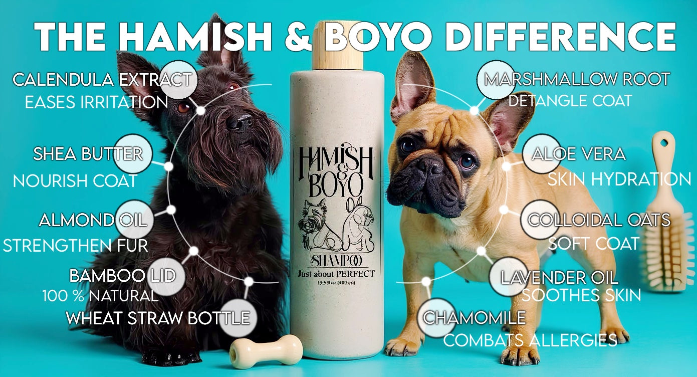 Hamish & Boyo dog care product differences